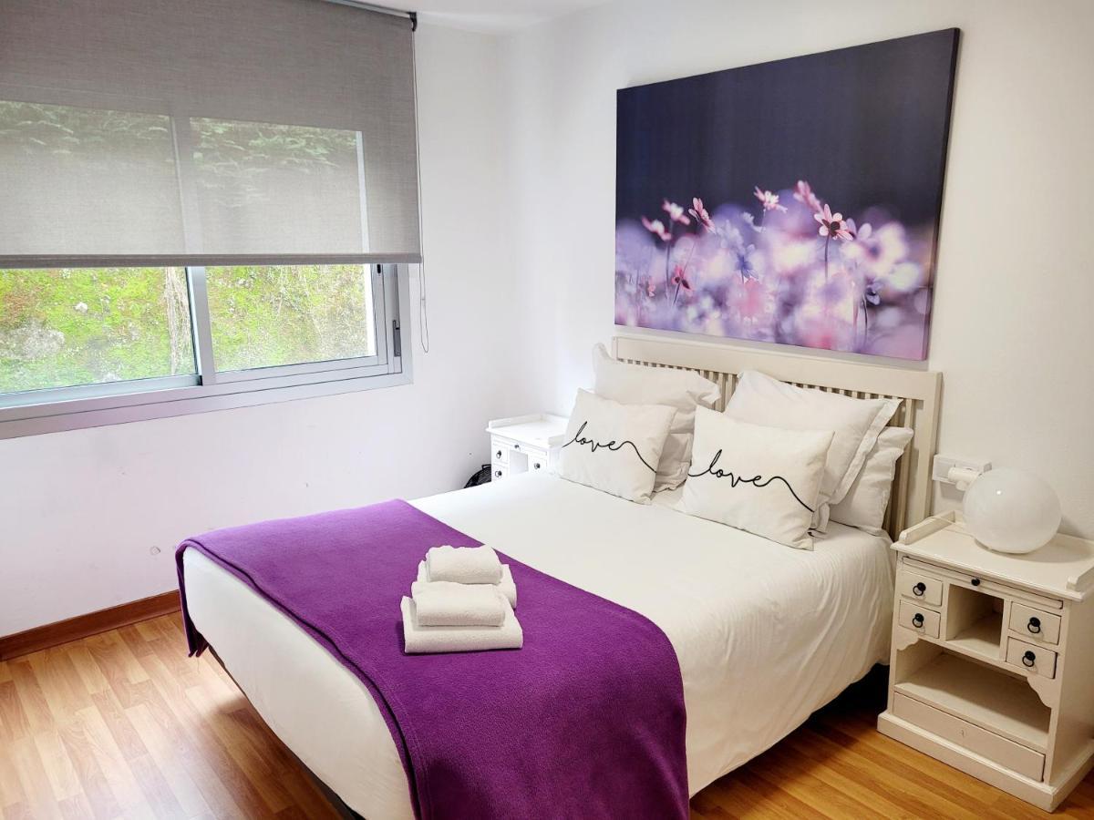 Apartament Amplio Piso Proximo A La Catedral Y El Camino. C2 Santiago de Compostela Zewnętrze zdjęcie